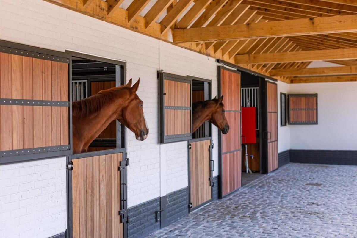 Huswell - Lady - Lovely Double Room At Ranch De Blauwe Zaal Bruges Exterior photo